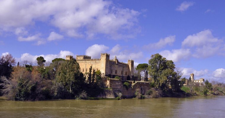 Castillo de Malpica en Toledo