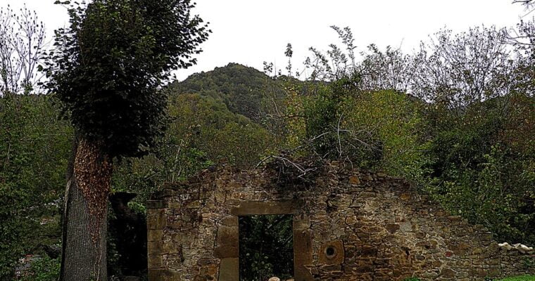 Castillo de Campogrande o de Blimea o de la Cabezada o Casa de los Fernandez Miranda en Asturias